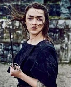 Arya Stark Paint By Number