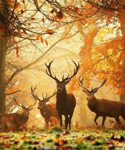 Autumn Deers Paint By Number