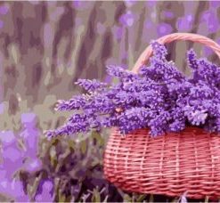 Basket Of Purple Flowers Paint By Number