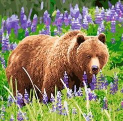 Bear In A Lavender Field Paint By Number