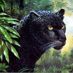 Black Leopard Paint By Number