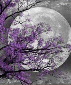 Blossomed Tree And The Moon Paint By Number