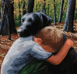 Boy Hugs Dog Paint By Number