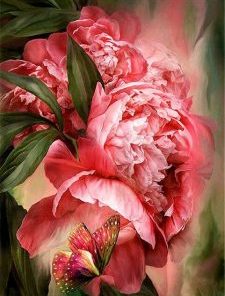 Butterfly Peony Paint By Number