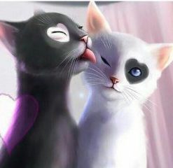 Cats In Love Paint By Number