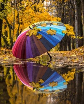 Colorful Umbrella and Leaves Paint By Number