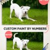 Customized Paint By Numbers For Adults