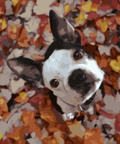 Dog and Leaves Paint By Number