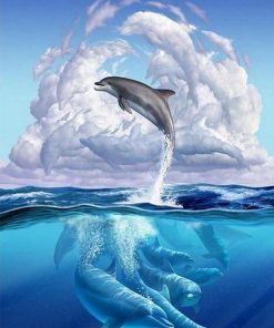 Dolphin Symphony Paint By Number