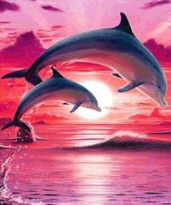 Dolphin at Sunset Paint By Number