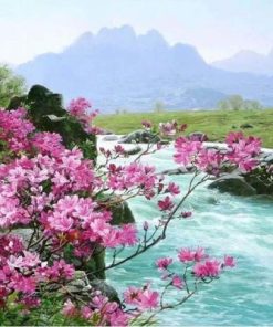 Flowers On The River Side Paint By Number