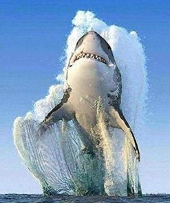 Great Shark paint by number
