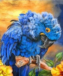 Hyacinth Macaw Paint By Number