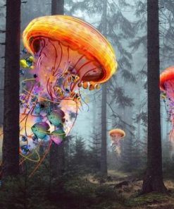 Jellyfish In Forest Paint By Number