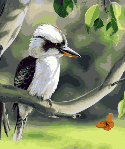 Kookaburra on Branch paint by number