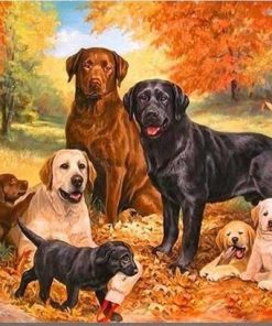 Labrador Dog paint by number