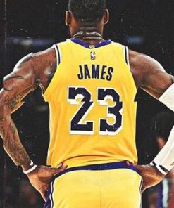 Lebron James Player Paint By Number