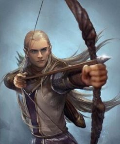 Legolas Character Paint By Number
