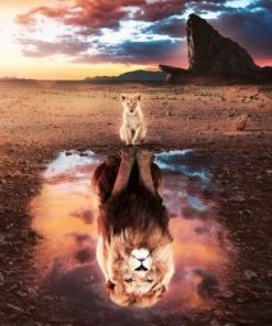 Lion and Cub Reflection Paint By Number