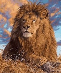Magnificent Lion Paint By Number