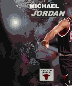 Michael Jordan Paint By Number