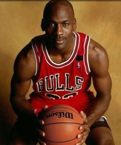 The Basketball Player Michael Jordan Paint By Number