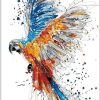 Fluttering Parrot Paint By Number