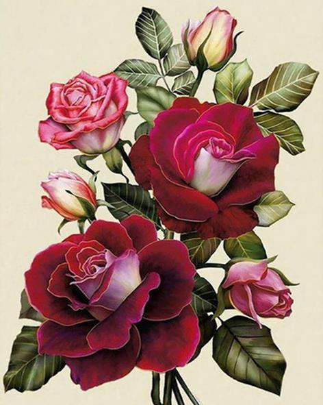 Rose Red Flower Flowers Paint By Numbers - Paint By Numbers