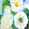 Georgia Okeeffe White Flowers paint by numbers