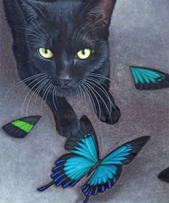 Black Cat And Butterflies Paint by numbers