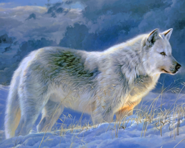 Winter Wolf paint by numbers