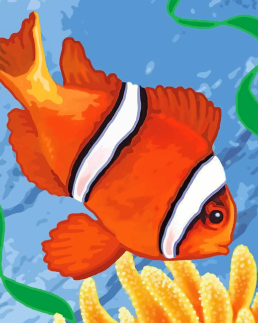 aesthetic-clown-fish-paint-by-numberaesthetic-clown-fish-paint-by-number