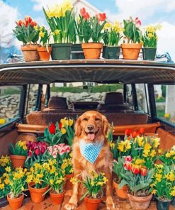 retriever-and-plants-paint-by-number