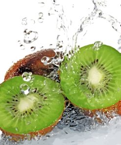 Sliced Kiwi In Water Paint by numbers