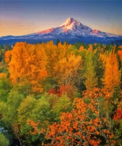 Oregon Mt Hood Fall paint by numbers