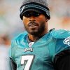 Michael Vick American Footballer paint by number