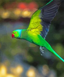 Rose Ringed Parakeet Bird Flying paint by number