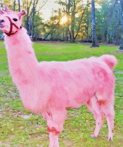 Pink Llama paint by number