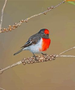 Red Capped Robin On Tree paint by number