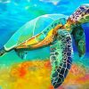 Ridley Sea Turtle paint by number