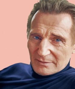 Aesthetic Actor Liam Neeson paint by number