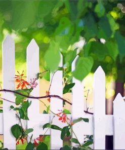 Plant On White Picket Fence paint by number