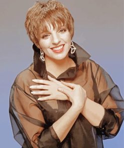 American Actress Liza Minnelli paint by number