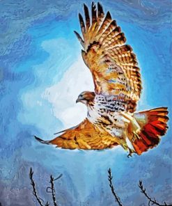 Red Tail Hawk Art paint by number