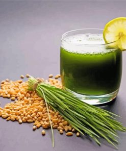 Delicious Wheatgrass Juice paint by number