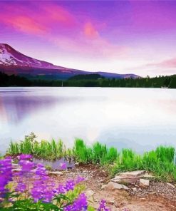 Wonderful Lake And Flowers paint by number