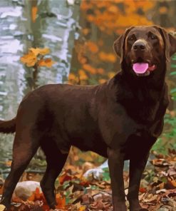 Chocolate Lab paint by number