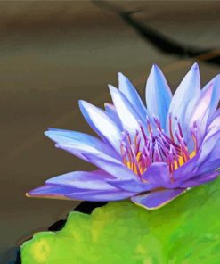 Blue Lotus Art Paint By Numbers