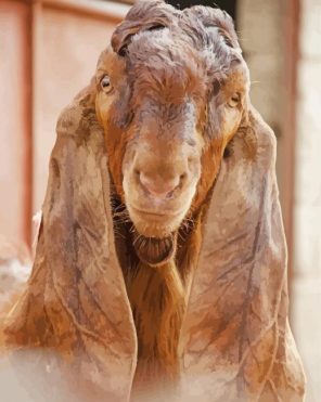Goat With Long Ears Paint By Numbers