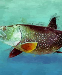 Lake Trout paint by number